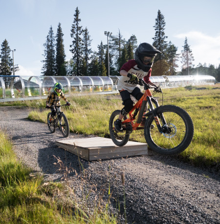 Family biking 2025 near me